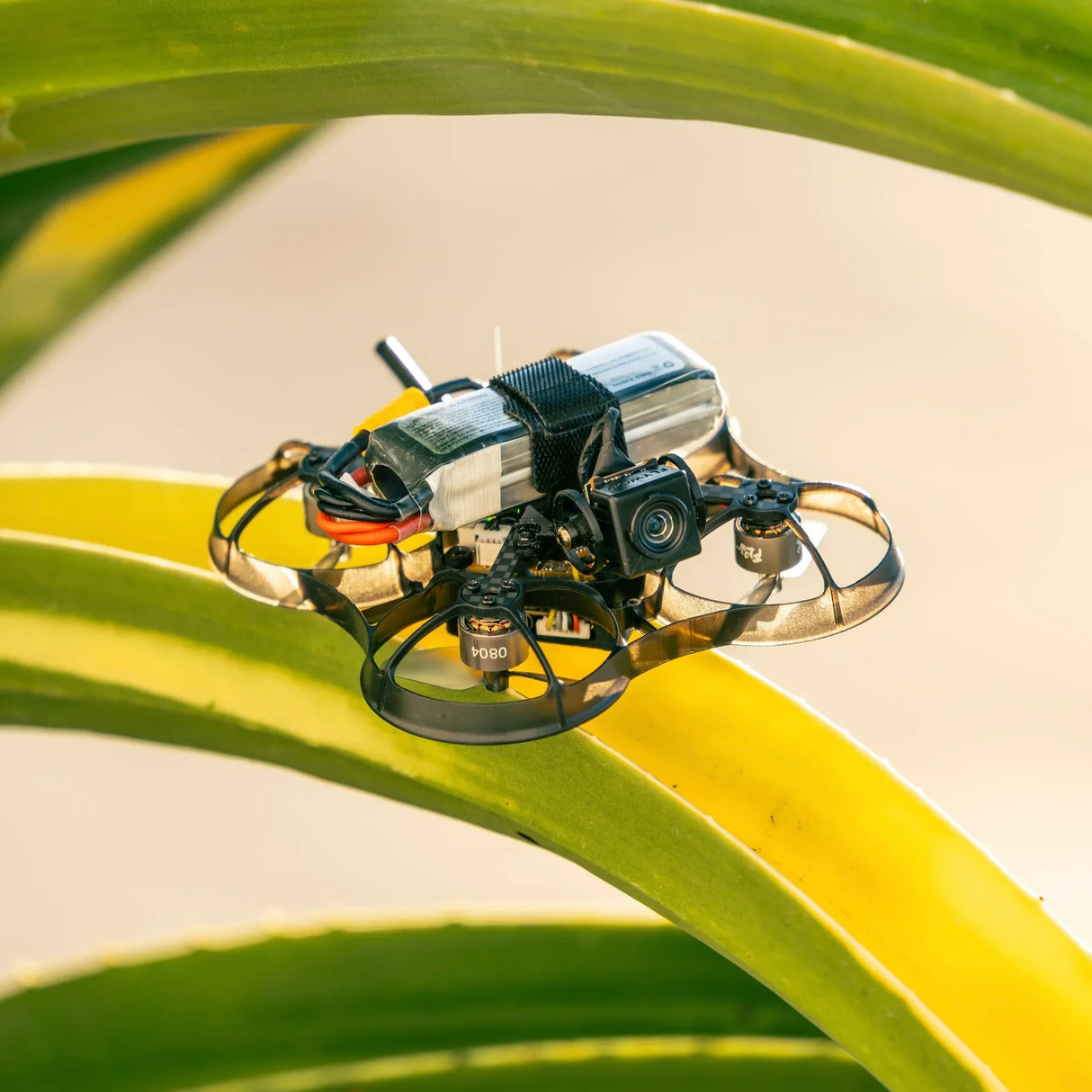 NewBeeDrone AcroBee75 HD DJI O4 Pusher BNF with DJI O4 (ELRS 2.4G)