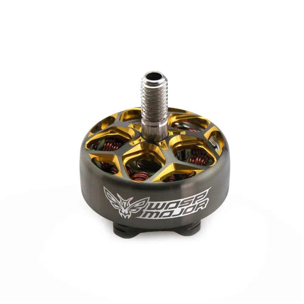 RCINPOWER WASP Major Grey & Gold (2100KV)