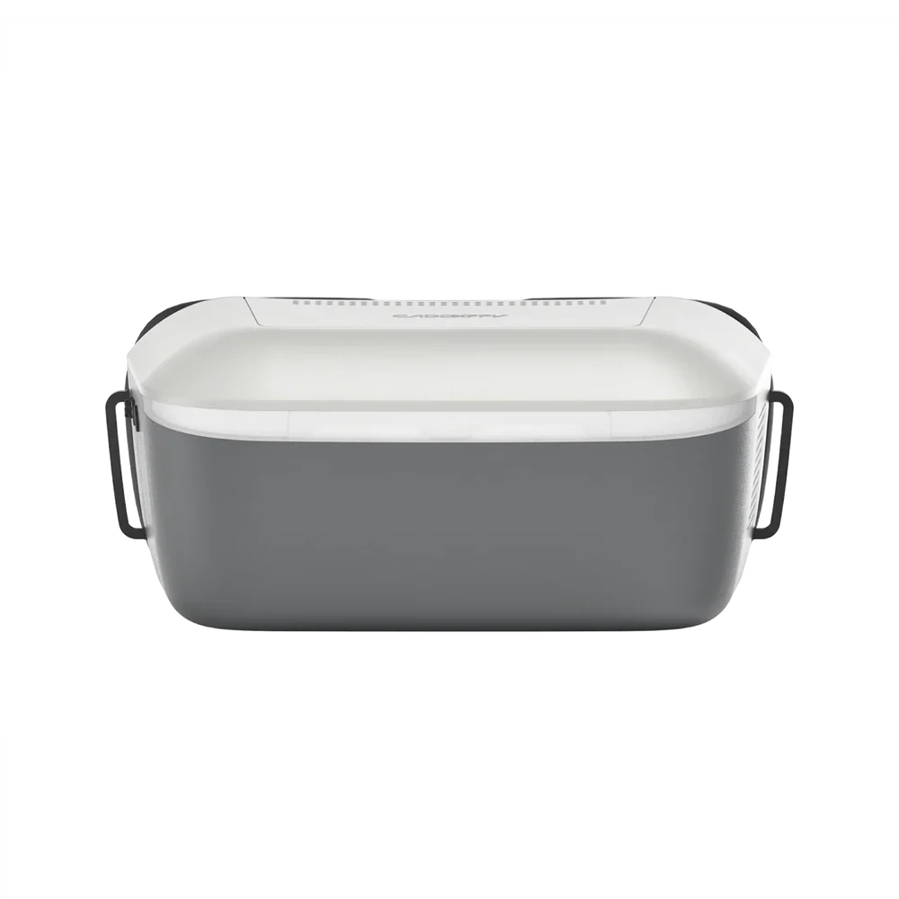 Walksnail Ascent Goggles