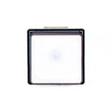 Axisflying M10 GPS Module W/Compass